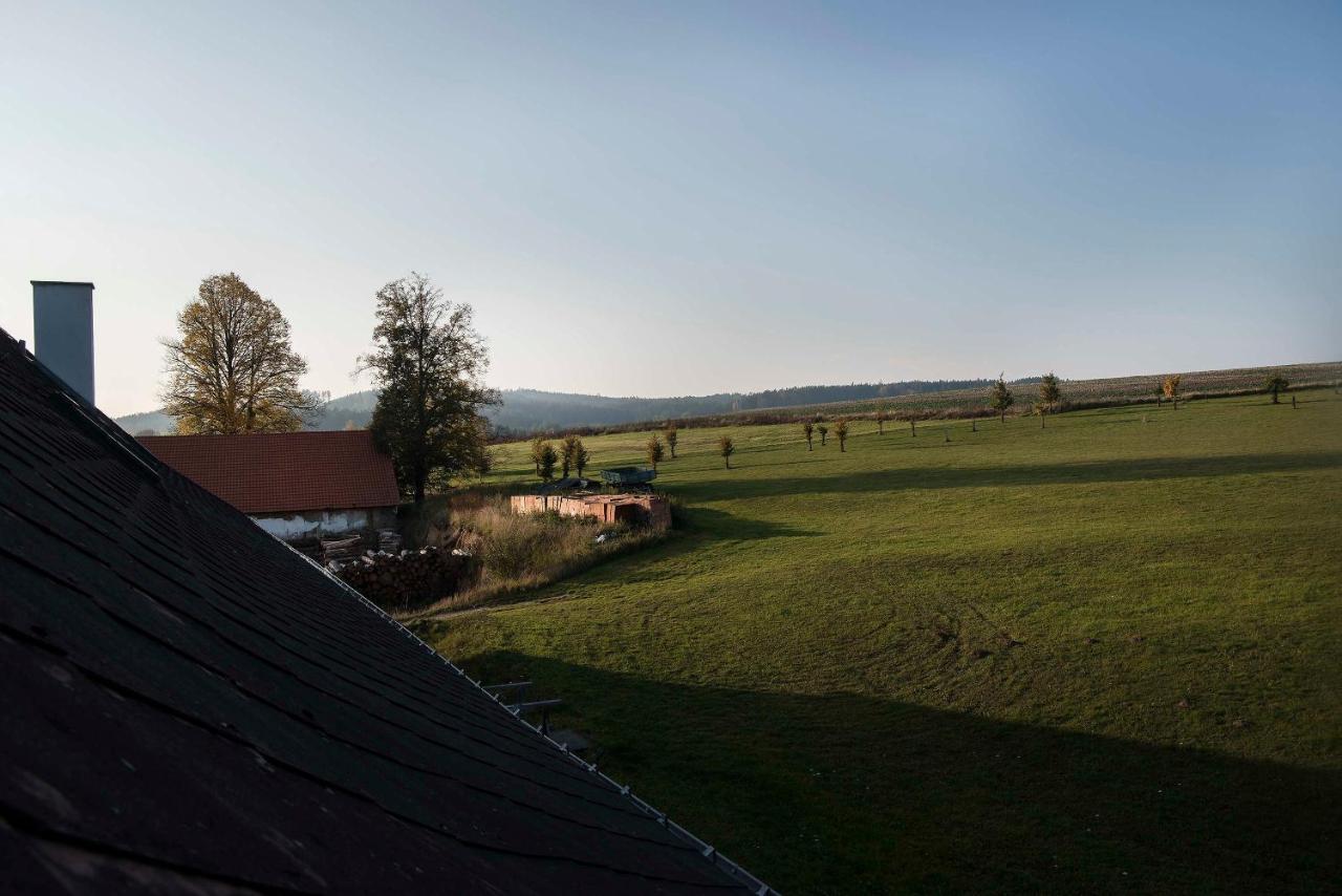 Hotel Zamek Liboun Louňovice pod Blaníkem Exterior foto